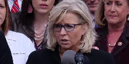 Ex-Rep. Liz Cheney endorses Kamala Harris citing 'danger that Trump poses'