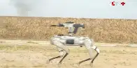 China shows off machine-gun-toting robot dog and its AI-powered puppy