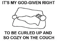 if god didn't want me to be cozy then why can I turn myself into a burrito?