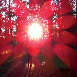 Mladek, by Russian Circles