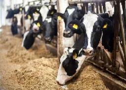BREAKING: Mystery Illness Impacting Texas, Kansas Dairy Cattle is Confirmed as Highly Pathogenic Avian Influenza Strain