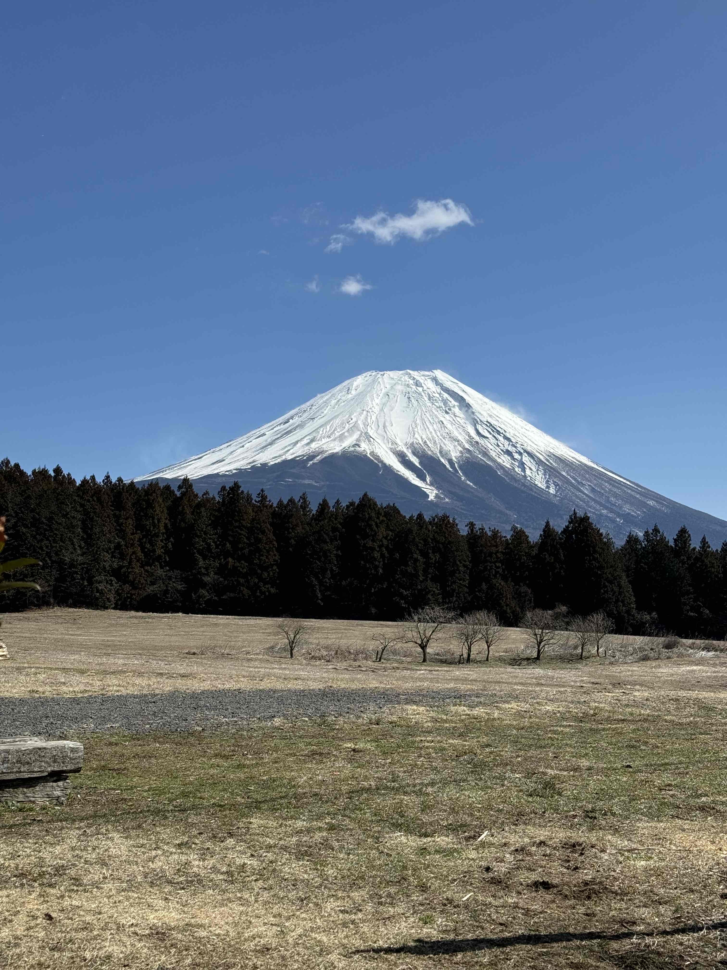 mt Fuji 