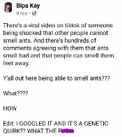 Ant smell