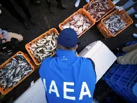 L'AIEA inspecte des poissons sur un marché de Fukushima