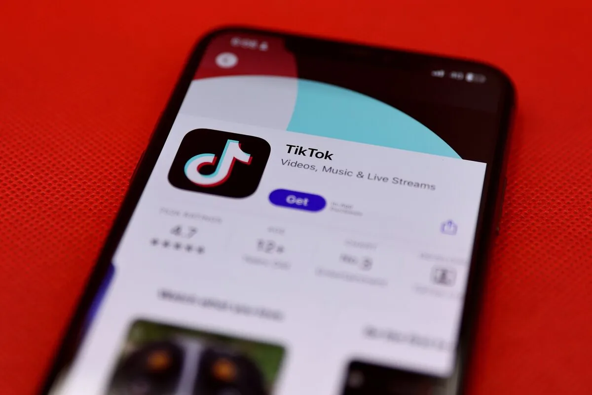 China Discusses Sale of TikTok US to Musk as One Possible Option