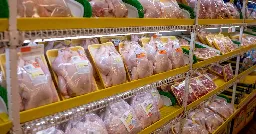 Record chicken prices squeeze US shoppers, benefit Tyson Foods