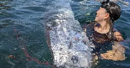 Extremely rare "doomsday fish" found off Southern California coast