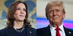 Kamala Harris leads Trump in the critical swing states of Michigan, Pennsylvania, and Wisconsin, new poll says