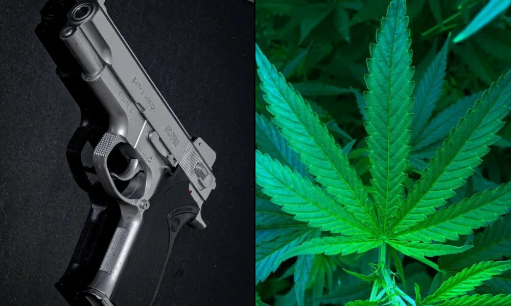 Federal Appeals Court Hears Challenge To Gun Ban For Marijuana Consumers - Marijuana Moment