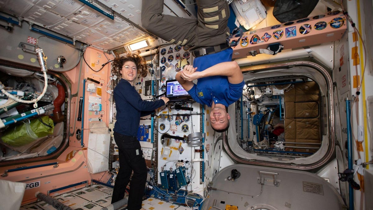 Mutated Strains of Unknown Drug-Resistant Bacteria Found Lurking on ISS