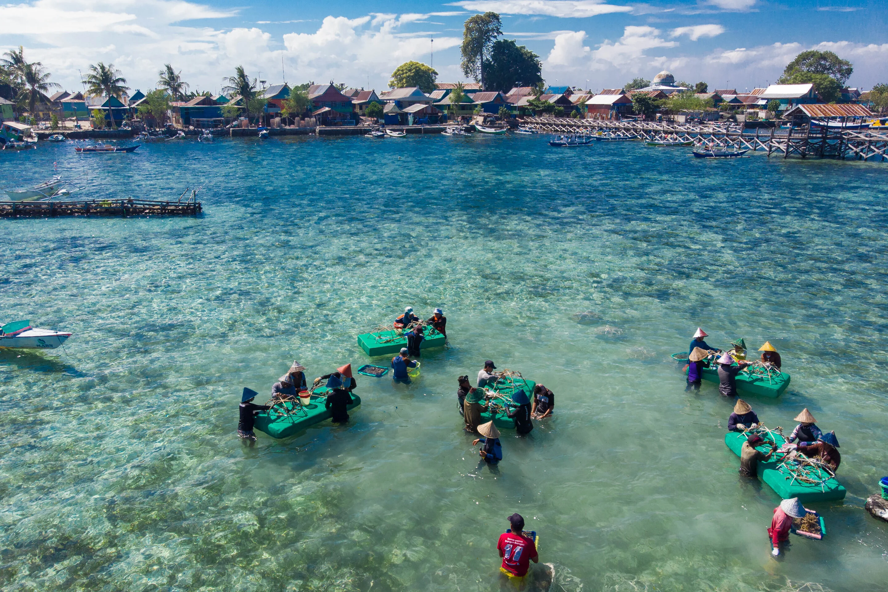 Good news for coral reef restoration efforts: Study finds 'full recovery' of reef growth within four years