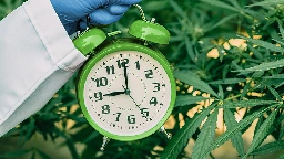 Using Cannabis Before Bedtime Is Associated With Improved Sleep Quality