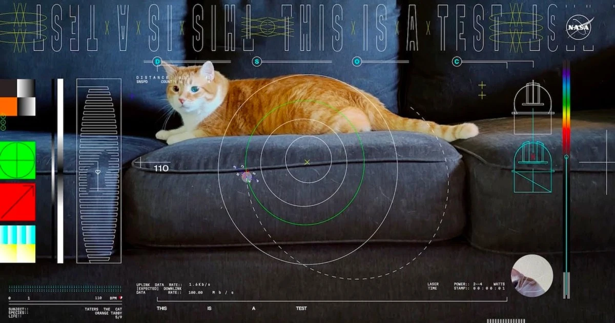 NASA beams home cat video from 19 million miles away