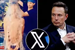 Elon Musk will bring video-only feed to X in bid to take on TikTok and Instagram Reels: sources
