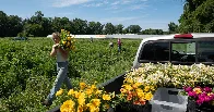 How the Shock of Catastrophic Floods Is Changing Farming in Vermont | A growing cohort of young farmers is experimenting with ways to mitigate the impact of flooding and other extreme weather.