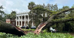 God Smashes Giant Tree Into FL Governor's Mansion - Joe.My.God.