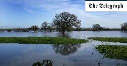 Farmers warn of first year without harvest since Second World War