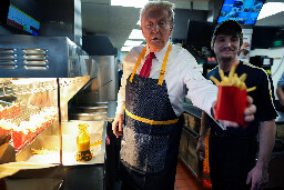 Donald Trump McDonald's hit with bad reviews: "Bronzer on my fries"