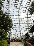 Greenhouse at Singapore Flower Dome