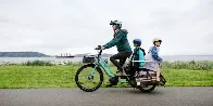 280 million e-bikes are slashing oil demand far more than electric vehicles | E-bikes and scooters displace 4x as much demand for oil as all of the EVs in the world.