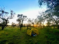 Sunrise. Hattah-Kulkyne NP, Victoria, Australia [OC]