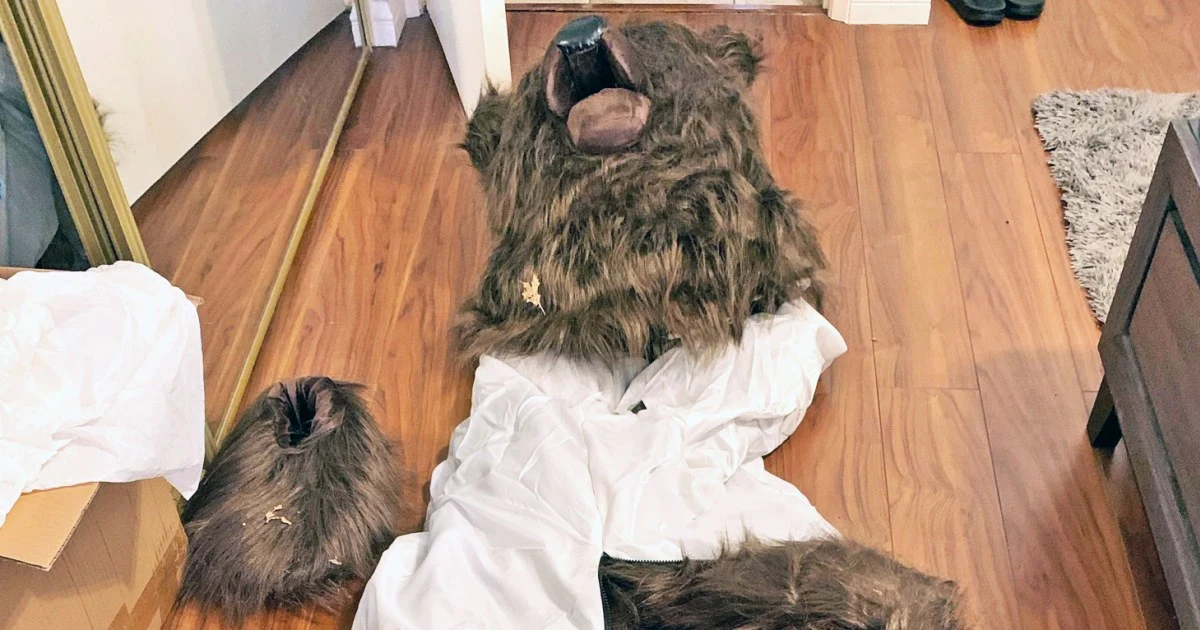 Person dressed in bear costume to fake attacks on cars for insurance payout, California officials say