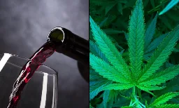 Amazon-Owned Twitch Bans Streamers From Promoting Marijuana But Allows Alcohol Branding In Policy Update - Marijuana Moment