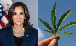 Kamala Harris Says 'We Need To Legalize' Marijuana For First Time As Democratic Presidential Nominee - Marijuana Moment