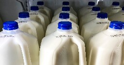 1 in 5 samples of pasteurized milk had bird flu virus fragments, FDA says