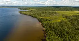 Leave no trace: Finland removes litter bins from national parks