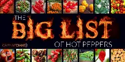 THE BIG LIST OF HOT PEPPERS | Cayenne Diane