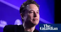 Elon Musk worked in US illegally in 1995 after quitting school – report