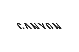 The Canyon Sale