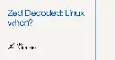 Zed Decoded: Linux when?