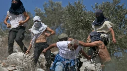 ‘Barbaric attack’: Armed settlers assault Palestinians on first day of olive harvest