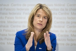 Swiss parliamentary committee backs plan to deport asylum seekers   - SWI swissinfo.ch