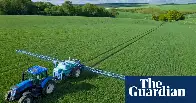 The Guardian: Revealed: Far higher pesticide residues allowed on food since Brexit