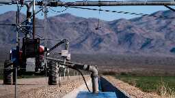 Arizona moves to end Saudi farm's controversial groundwater deals to grow, export alfalfa