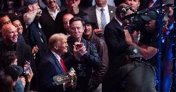 Trump Attends U.F.C. Fight in New York