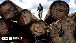 Amazon nations fall short of agreed goal to end deforestation