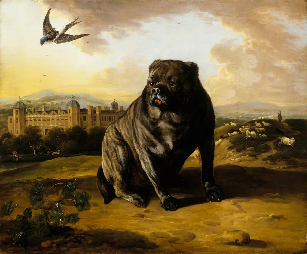 17th century AD painting of a Pug in the Netherlands (This is a Very Important Historical Event, please trust me)