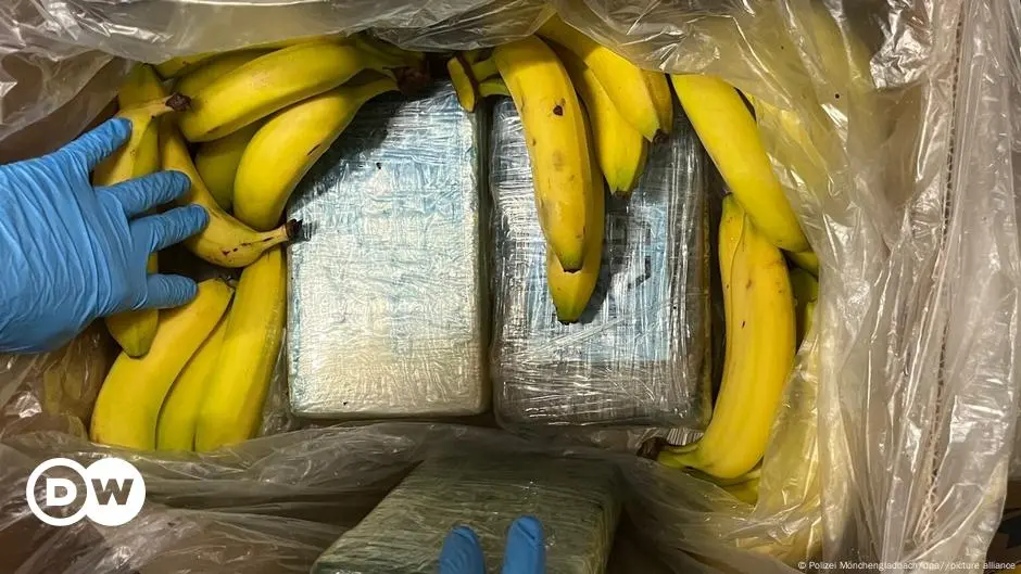 German supermarket finds €7M of cocaine in crates of bananas – DW – 09/23/2024