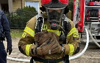 In Poland firefighters were called to a house fire. There were no people inside the house but there was a terrified bunny that the firefighters rescued from the flames.