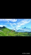 Deer In The Mountains, With Butterflies