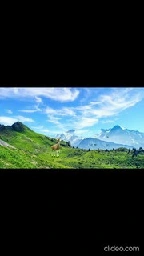 Deer In The Mountains, With Butterflies