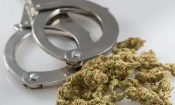 DEA Says It Can Still Arrest People For Marijuana Regardless Of State Legalization, But It's 'Not Our Intent' To Go After Possession Cases - Marijuana Moment