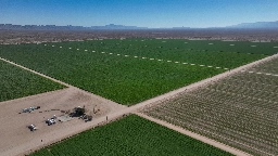 Arizona is evicting a Saudi alfalfa farm, but the thirsty crop isn’t going anywhere