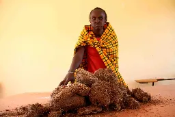 Soap made from elephant dung creates a profitable venture for Narok women