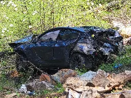 Tesla's Automated Alert System Leads First Responders to Fatal Crash Site After Model Y Plunges 300 Feet Down Hillside