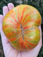 The beautiful stripes and stitching of this Berkeley Tie Dye Green tomato